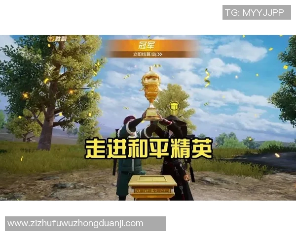 杨娜专访揭秘和平精英成功背后的策略与创新之路