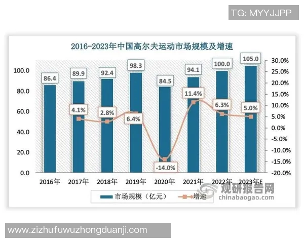 杭州羽毛球队灵活性深度对比分析及其影响因素探讨