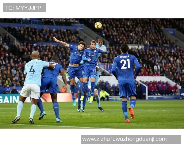 2018年12月布莱顿主场迎战埃弗顿精彩对决回顾与分析