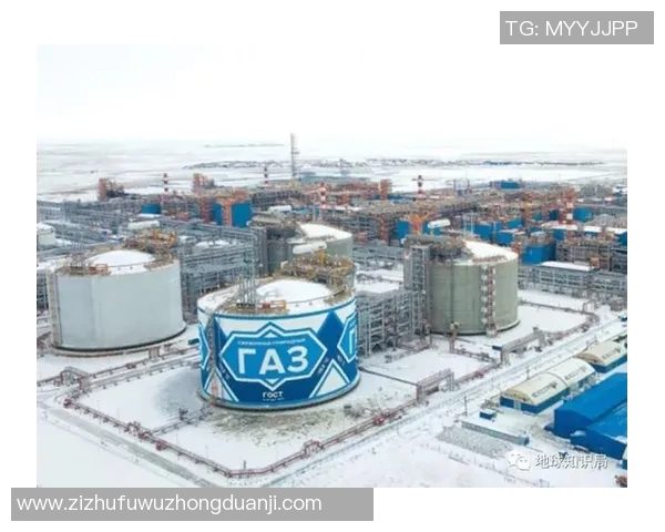 亚马尔地区资源开发与国际合作新机遇探讨